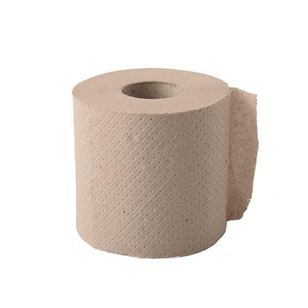 Toilettenpapier Ø 9,6 cm · 10 cm x 9,5 cm Kleinrolle, 2-lagig, 300 Blatt, Recycling - Bild 1