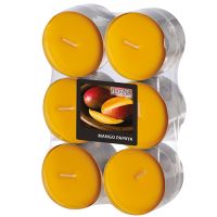 Maxi-Duftteelichter, Mango-Papaya, Ø 58 mm · 24 mm, "Flavour"