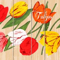 Servietten, 3-lagig 1/4-Falz 33 x 33 cm "Blooming Tulips"