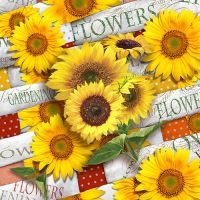 Servietten, 3-lagig 1/4-Falz 33 x 33 cm "Sunflower Field"