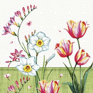 Servietten, 3-lagig 1/4-Falz 33 x 33 cm "Florentina"